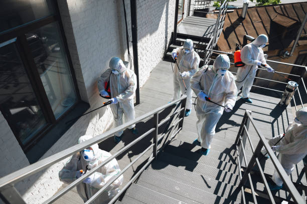 Best Mold Removal for HVAC Installations  in Silsbee, TX