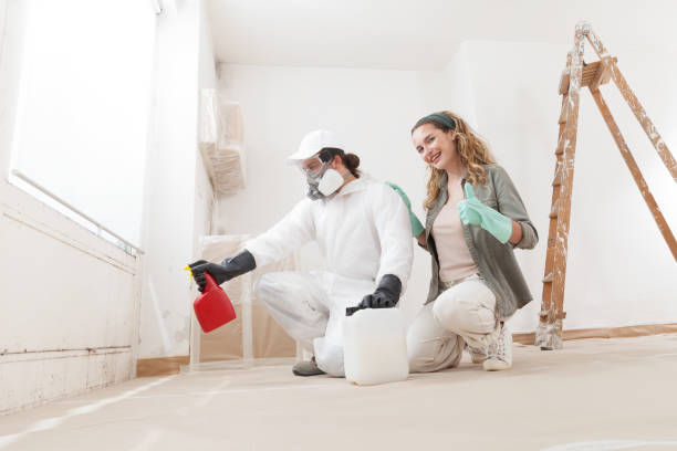 Best Mold Documentation for Insurance Claims  in Silsbee, TX