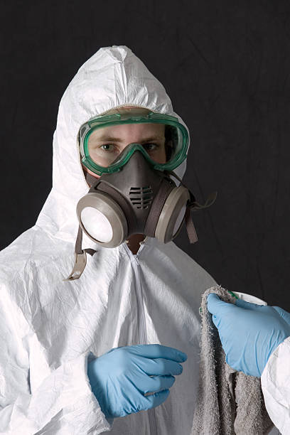 Silsbee, TX Mold Removal Company